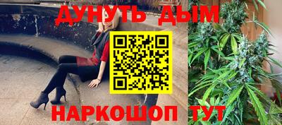 крисы Партизанск