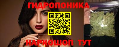 крисы Партизанск