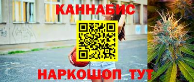 крисы Обь